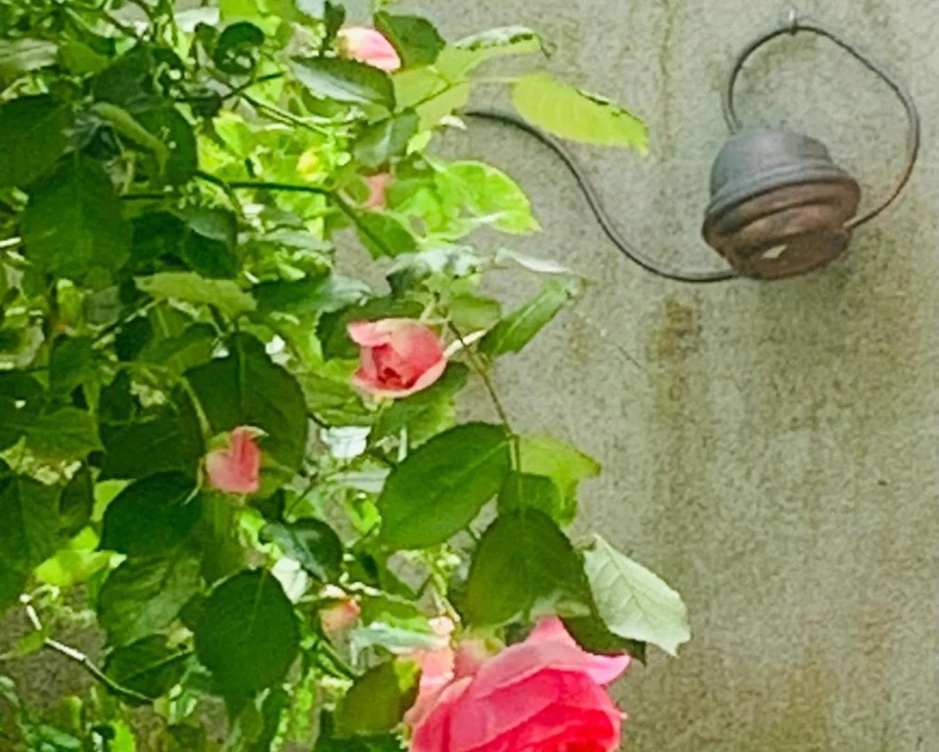Villa Ibis Rouge à Villars-les-Dombes Hébergement de vacances